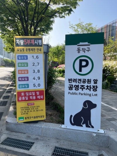 사진 6