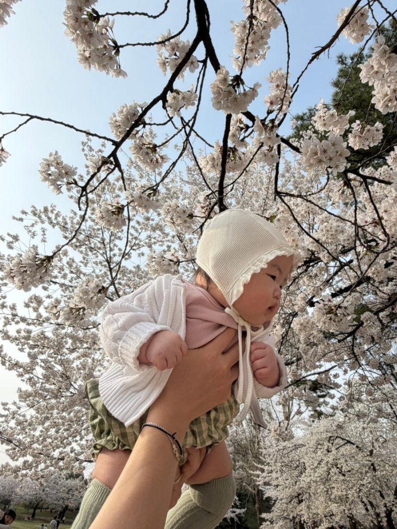 [외출복]5~6개월 아기 외출복 쇼핑 및 코디(나른, 트트비, 피우, 꾸꾸에떼, 더로하, 더피넛스튜....
