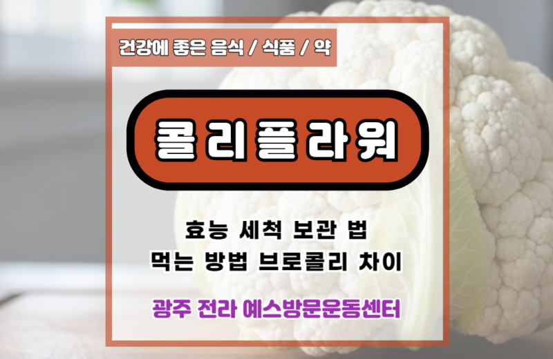 콜리플라워 효능 8가지 세척 보관 법 먹는 방법 브로콜리 차이