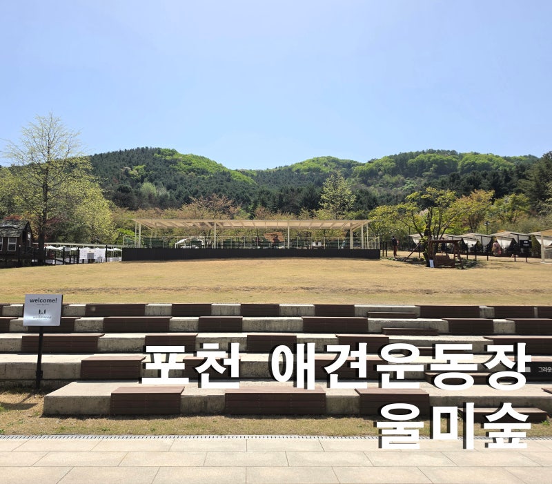 숲 애견카페
