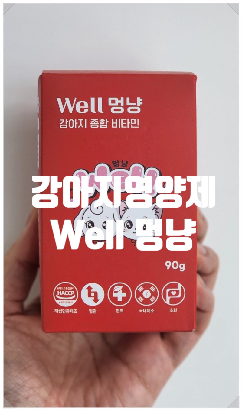 강아지 종합영양제 Well멍냥 종합비타민 꽃님이 원픽