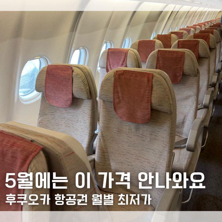  "5월엔 이가격 절대 안나와요" 2026 후쿠오카 항공권 월별 가격 최저가 정리