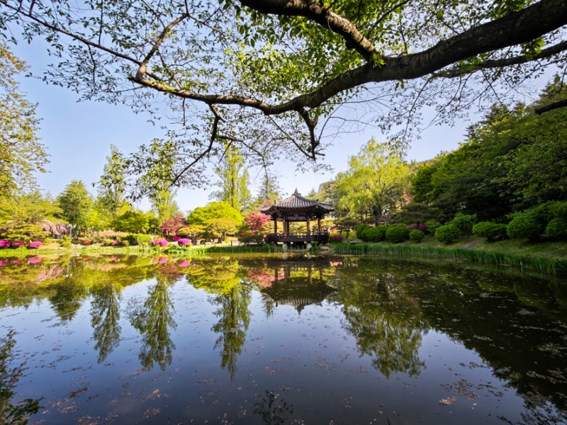 사진 2