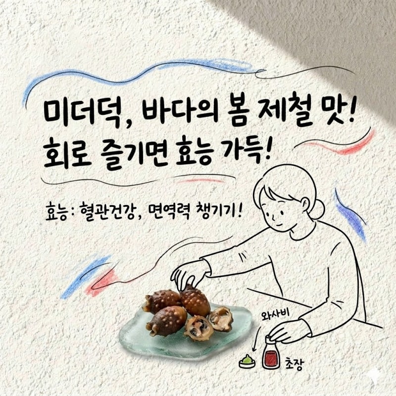 미더덕 미더덕회 제철 효능 먹는법