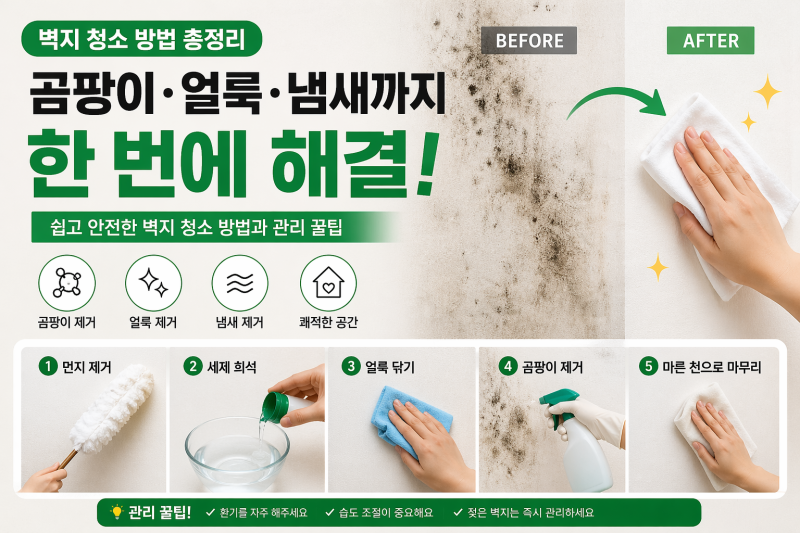 벽지 청소 방법 총정리｜곰팡이·얼룩·냄새까지 한 번에 해결!