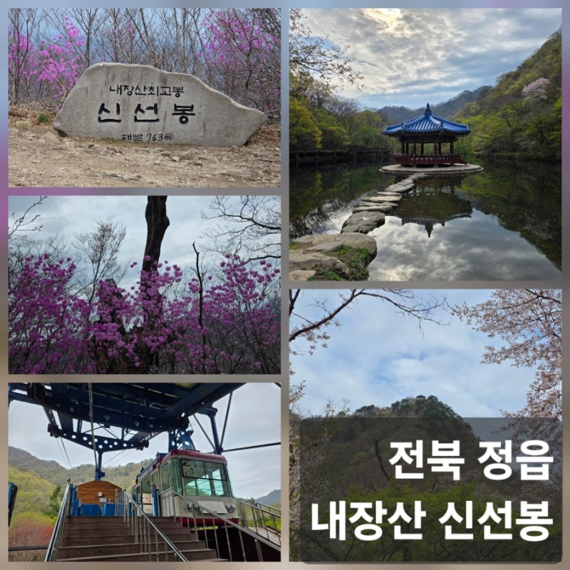[전북 정읍 내장산 신선봉 등산] 케이블카로 만나는 신선봉, 최단코스, BAC 100대 명산