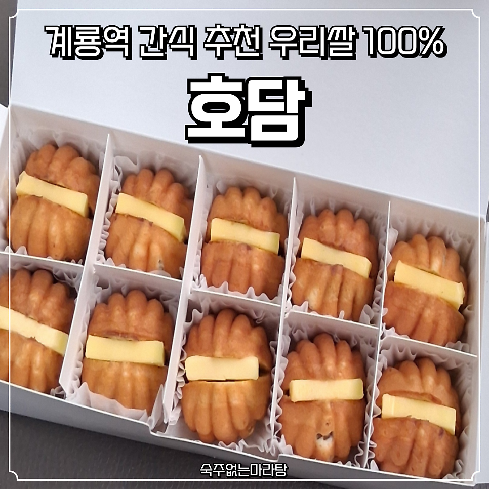 호담 사진 1
