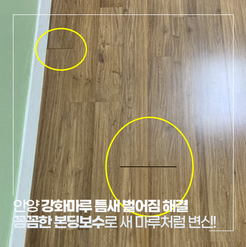 안양 강화마루 틈새 벌어짐 해결! 세븐홈케어의 꼼꼼한 본딩 보수로 새 마루처럼 변신 완료
