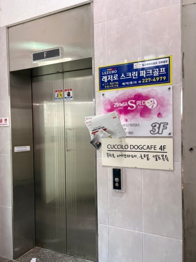 사진 5