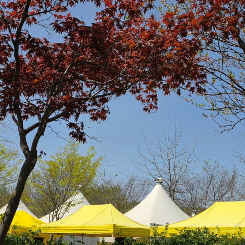 仁川大公園露營野餐烤肉 Neona-deuri露營場蒙古包C26