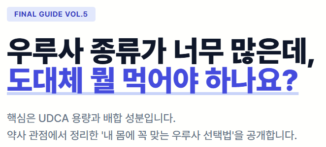 [우루사 5탄] 우루사 종류 이렇게 다릅니다 — UDCA 용량부터 선택 기준까지