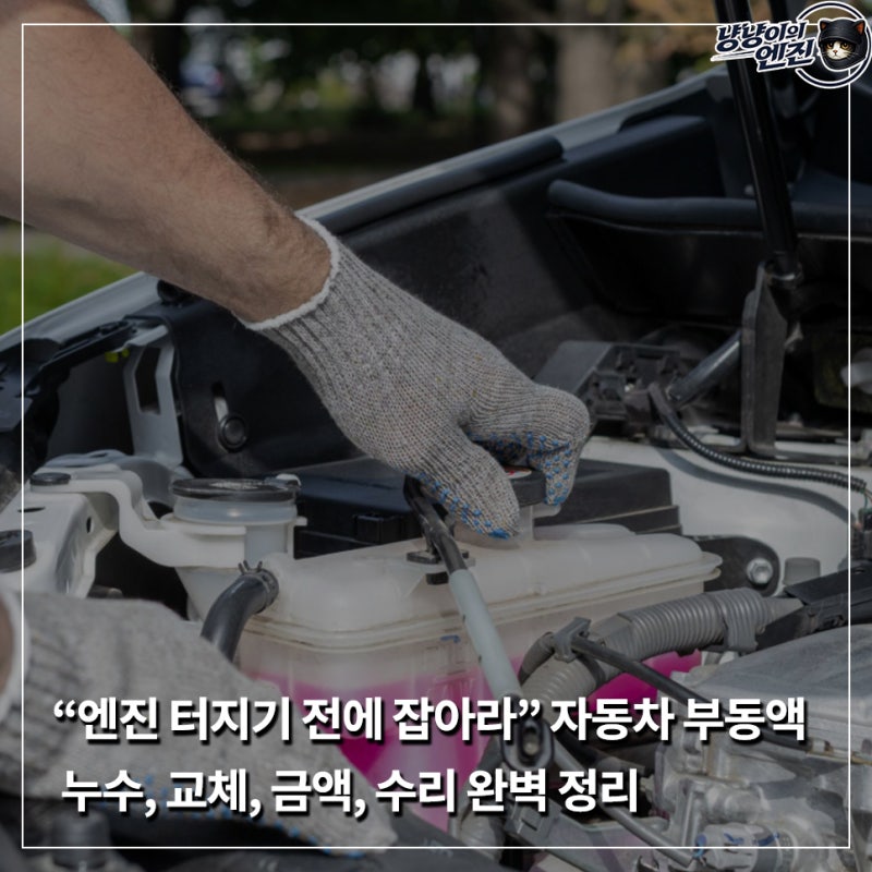 “엔진 터지기 전에 잡아라” 자동차 부동액 누수, 교체, 금액, 수리 완벽 정리