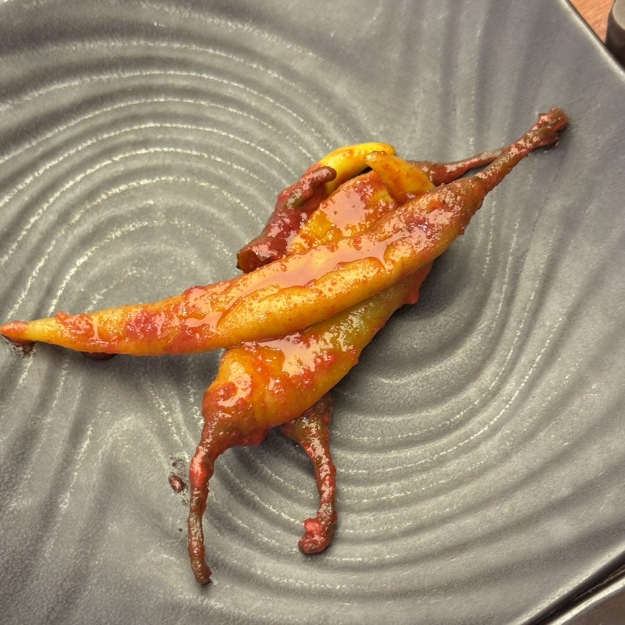 돈돼지 사진 6