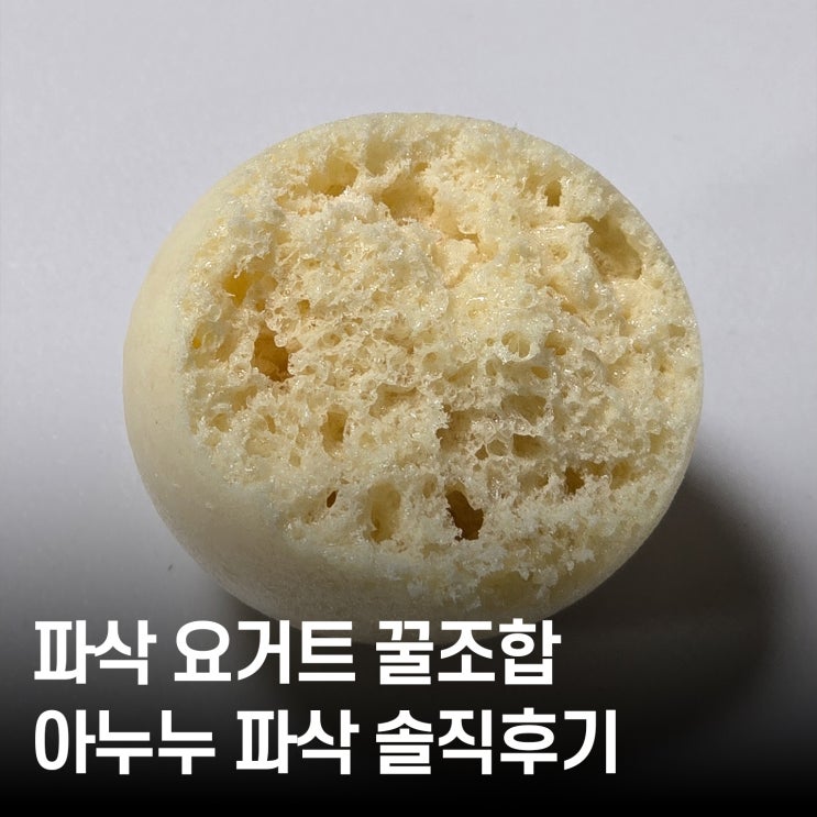  아누누 파삭 오리지널 내돈내산! 입천장 사수하는 요거트 꿀조합 (진심 필수)