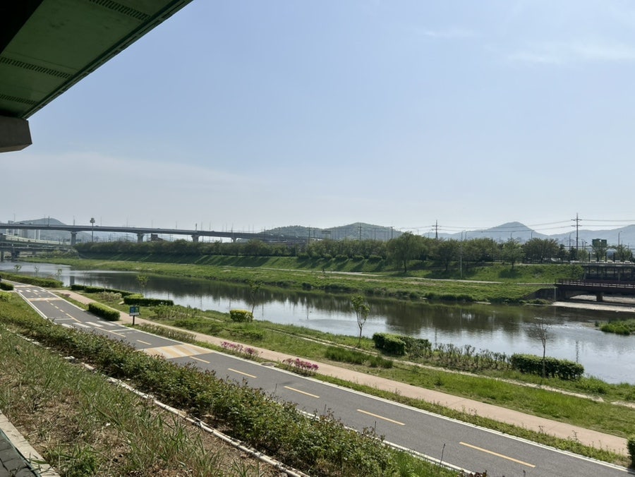 노랑통닭 안양석수점 사진 5