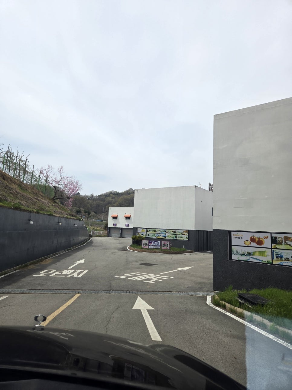 오렌지토마토무인텔 사진 3