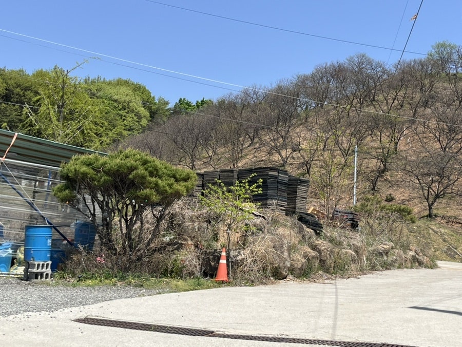 캠핑노리 사진 4