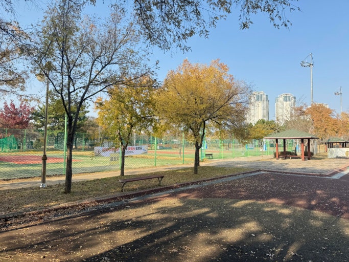 사진 6