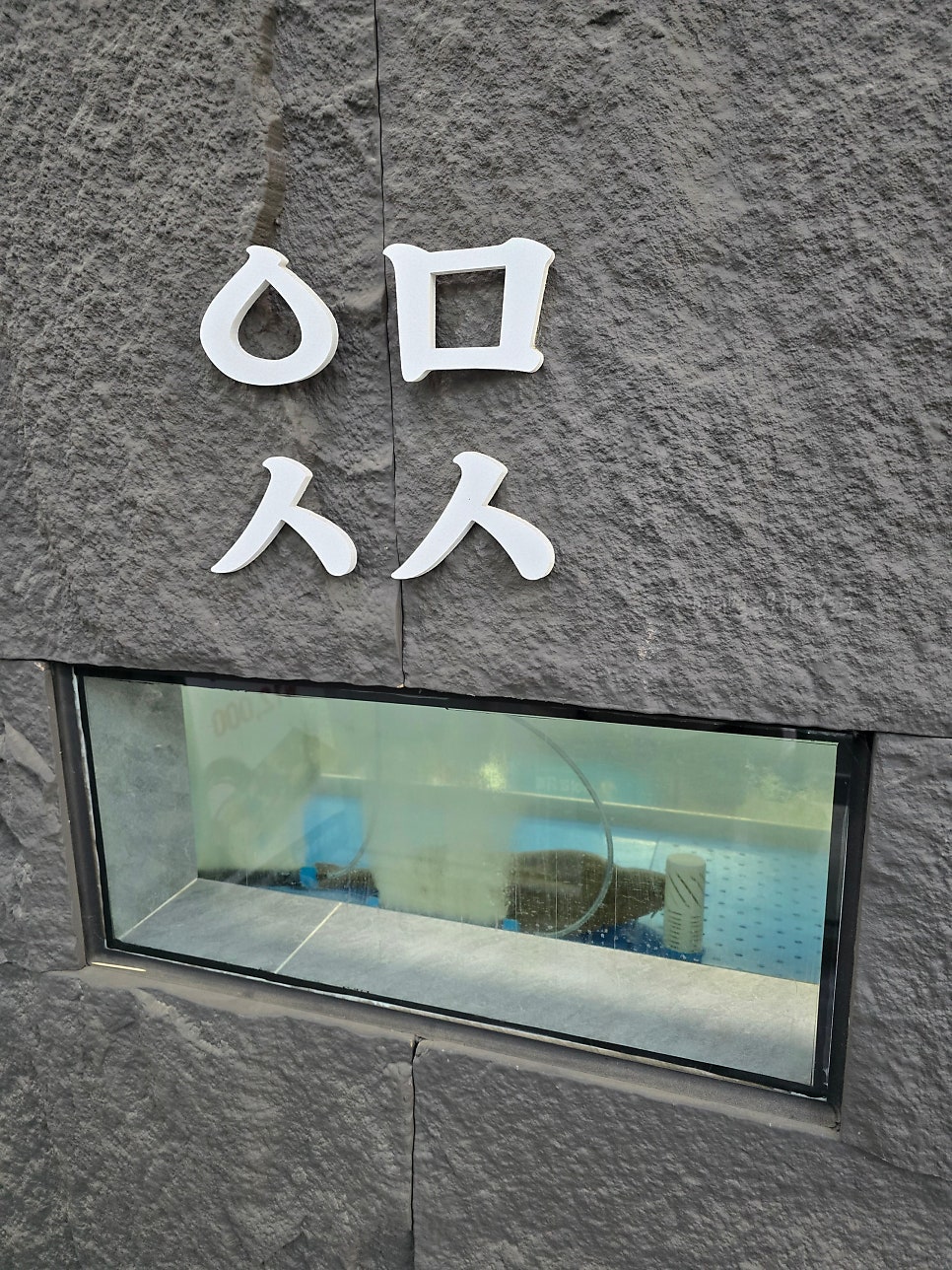 윤민스시 사진 4
