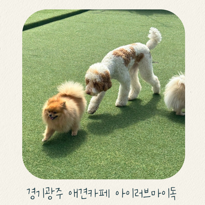 사진 2