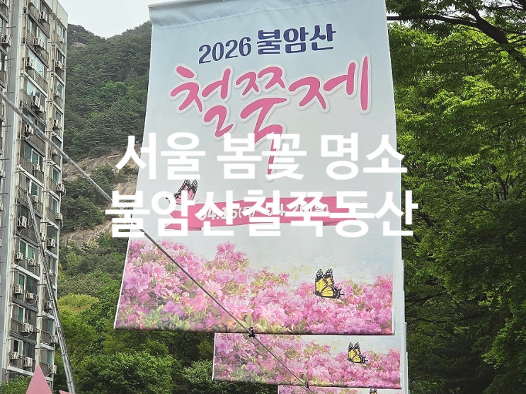 불암산철쭉동산 철쭉제 주차 서울 봄꽃 명소 다녀왔어요