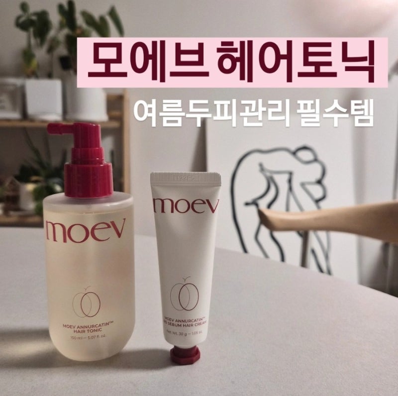 모에브 헤어토닉 & 노세범 헤어 크림 | 열감있는 두피관리 방법
