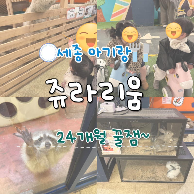세종 아기랑 가볼만한 곳 쥬라리움 24개월