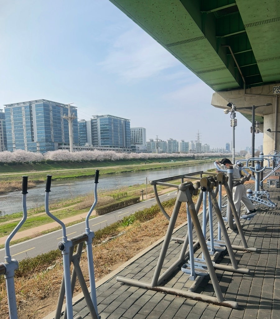 노랑통닭 안양석수점 사진 4