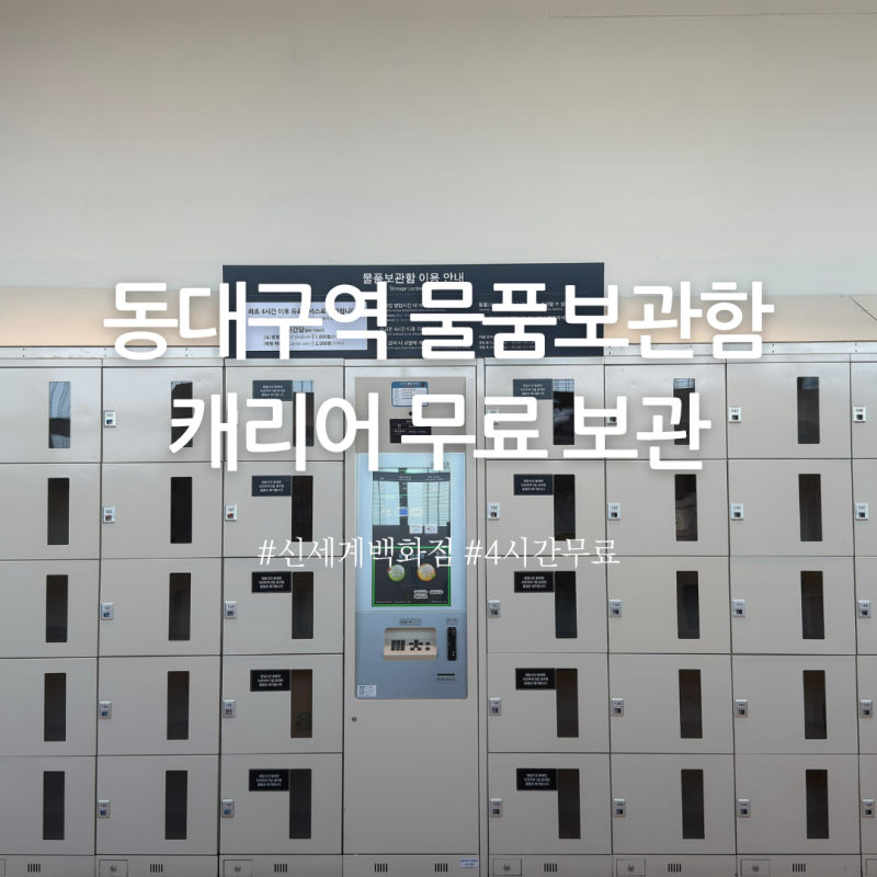 동대구역 캐리어 짐보관 물품보관함 무료