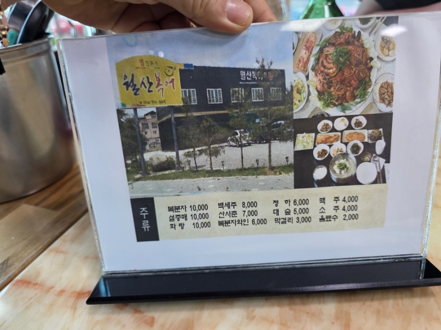 월산복어 사진 6