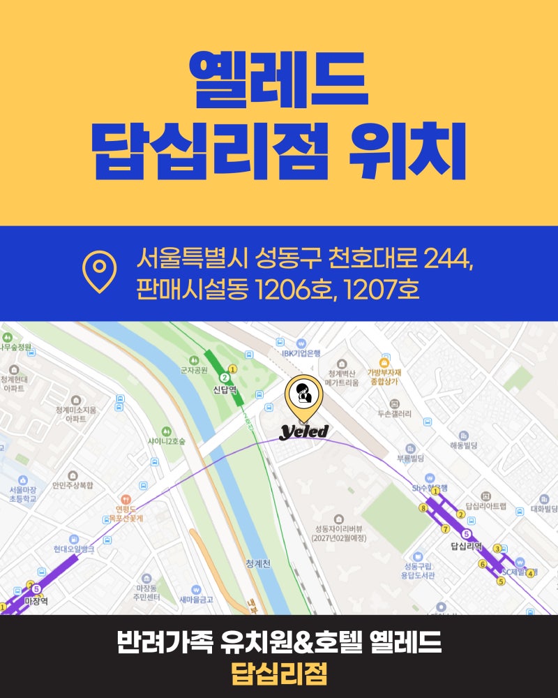 사진 2