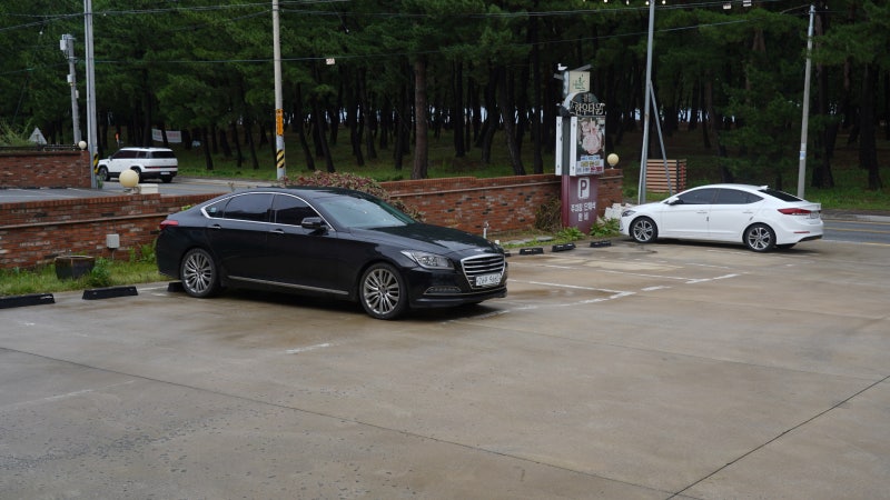 사진 6