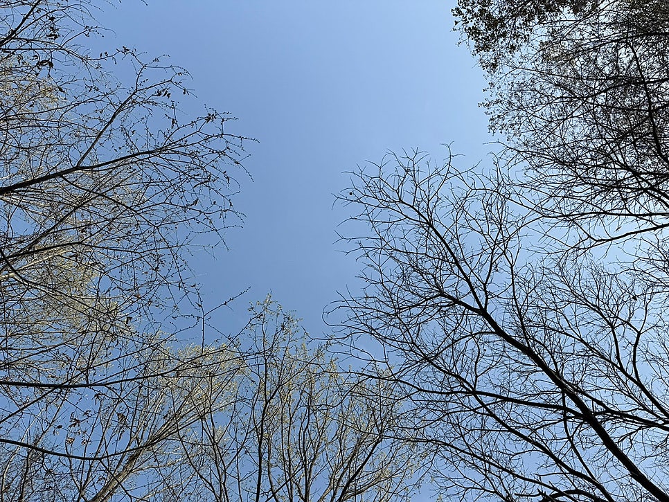 메리트리하우스 사진 5