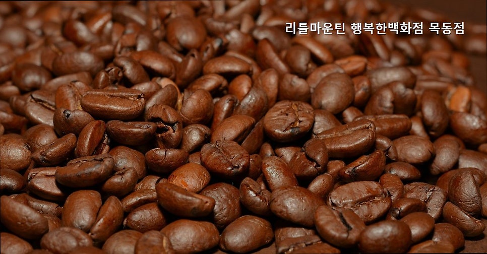 리틀마운틴 목동점 사진 4