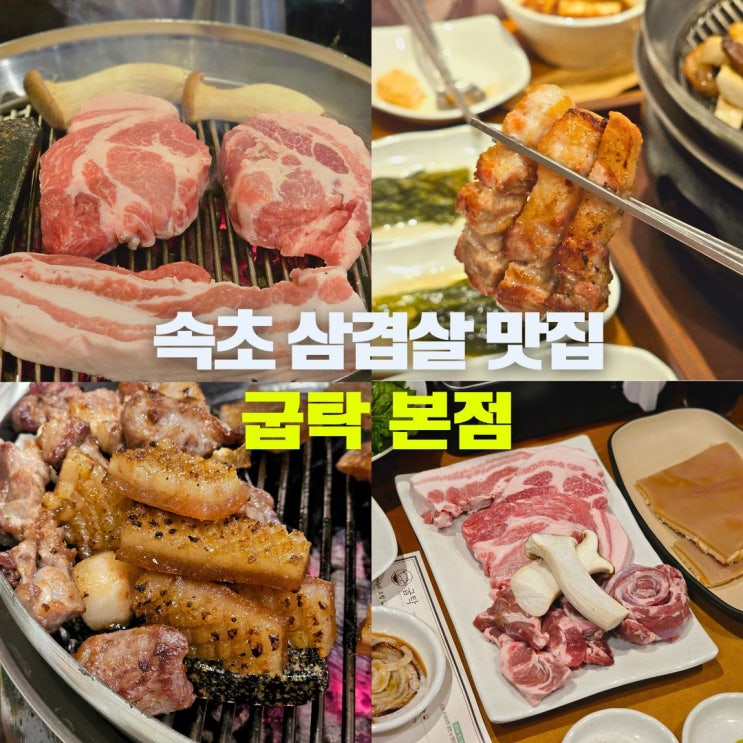  속초 삼겹살 맛집 청초호수공원 근처 돼지갈비 고깃집 핫플 굽탁 엑스포타워