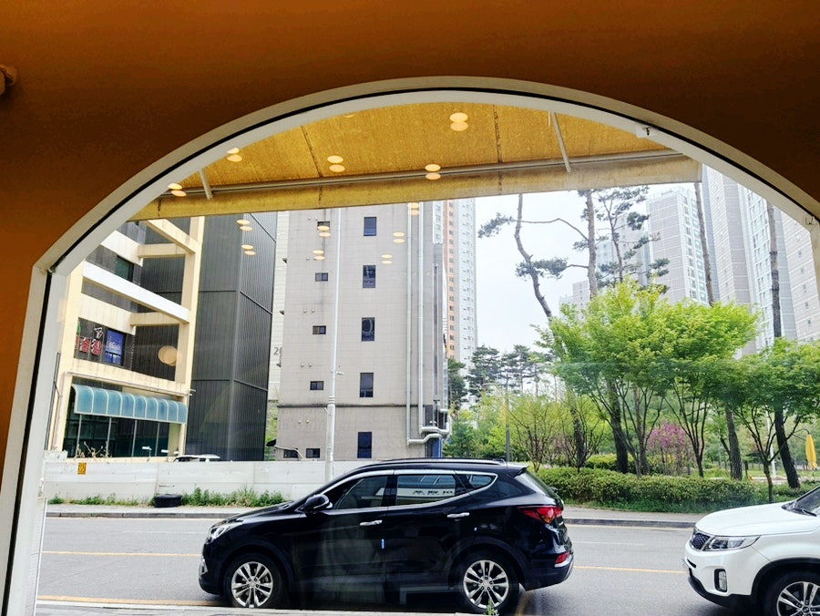 하노이 앤 포 사진 2
