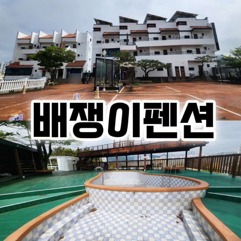 사진 5