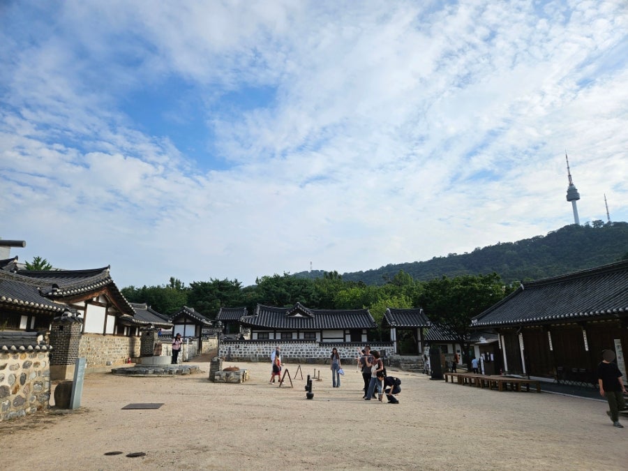 디인포 사진 3