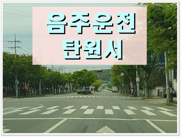  음주운전탄원서 양식 예시 이것 하나면 끝