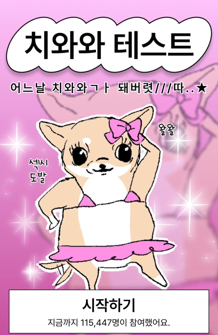 치와와 테스트, 나만의 와와를 찾아보기!