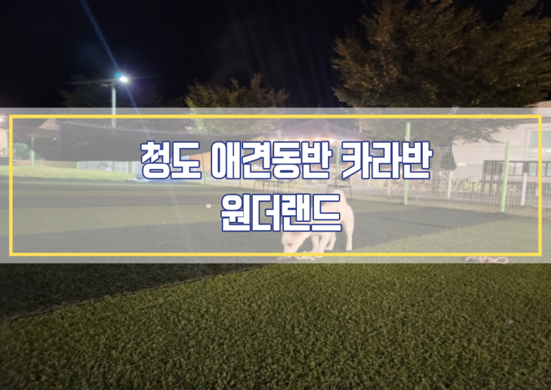 청도 원더랜드