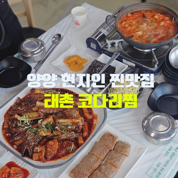  강원도 양양 현지인 맛집 태촌 전통시장 5일장 오일장 근처 먹거리 여행 코스