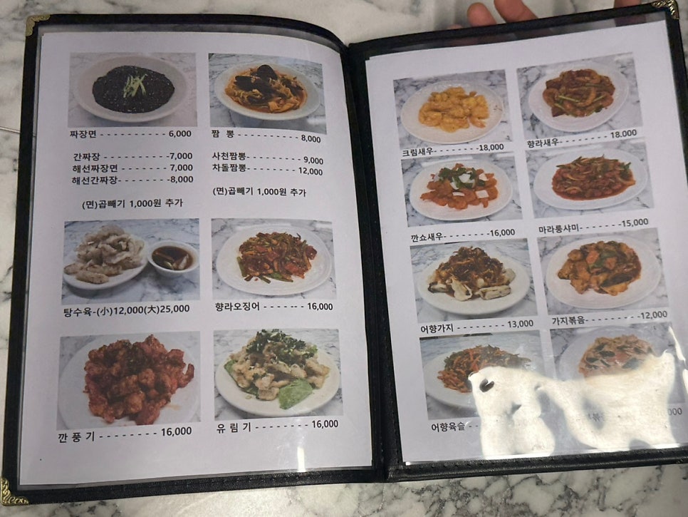 매화반점 사진 4