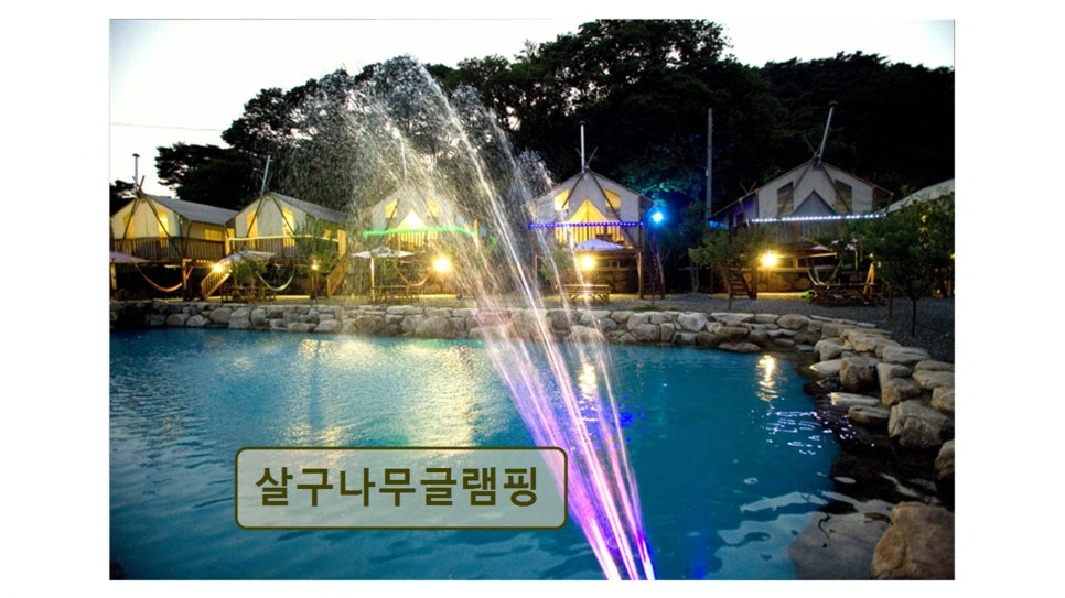 살구나무글램핑 사진 2