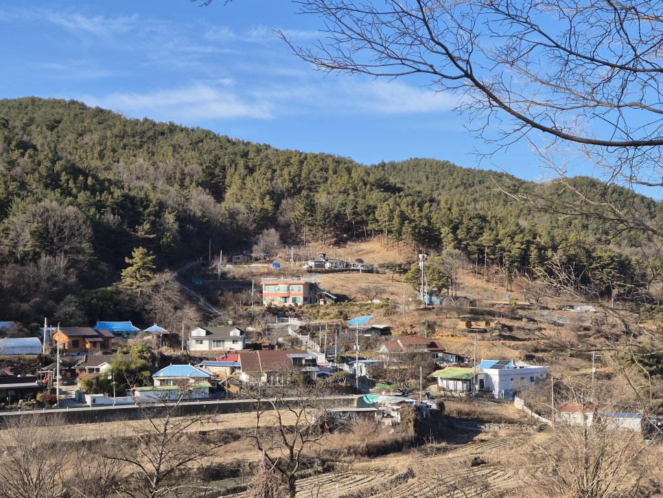 도장골 사진 3