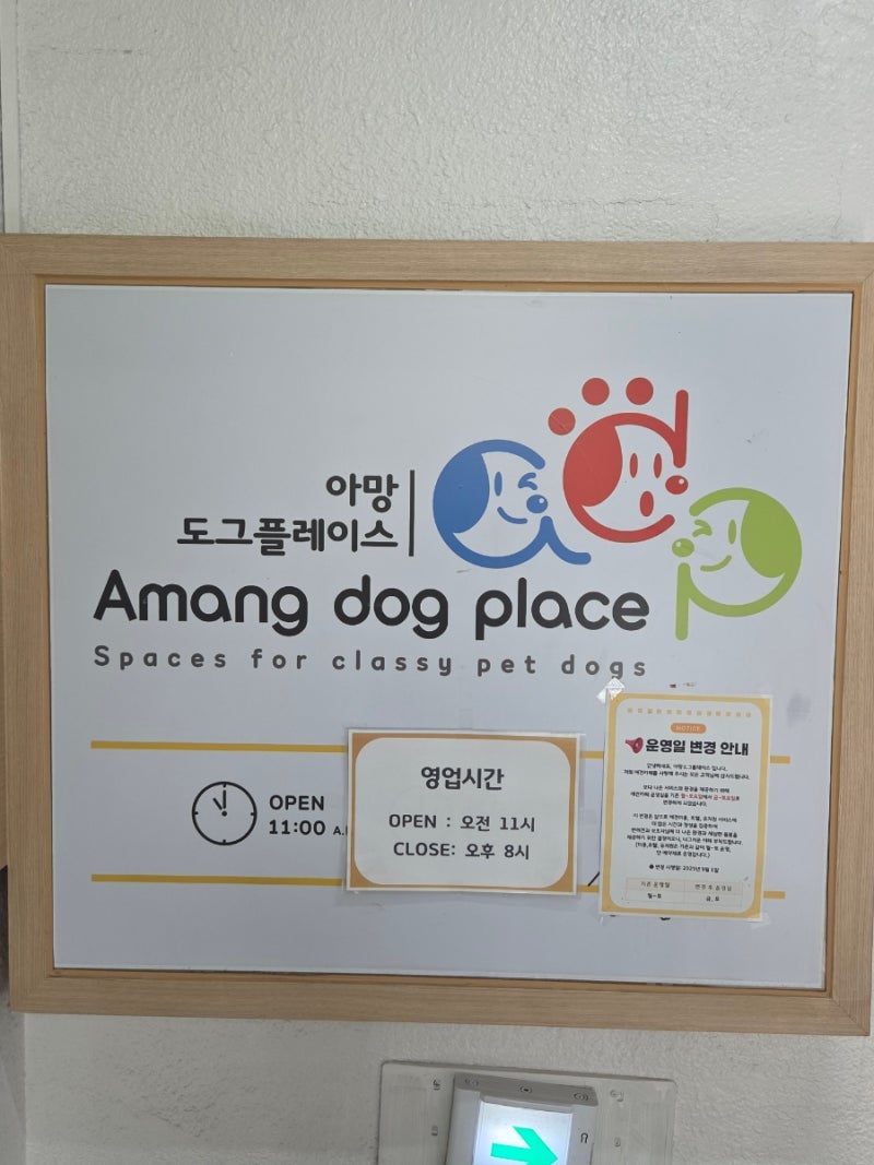 사진 11