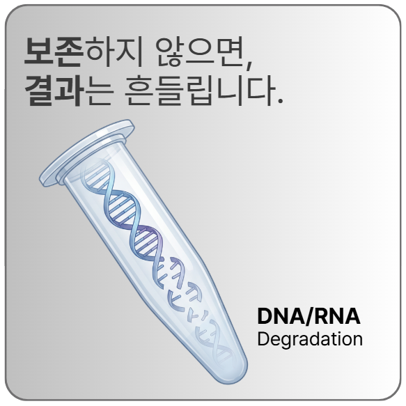  DNA/RNA 추출 전 꼭 알아야 할 샘플 보존 방법: Preservation Buffer 사용 가이드