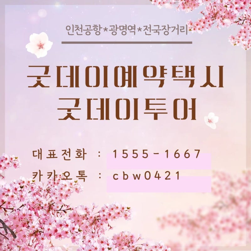 완주 삼례 우석대 인천공항 솔라티 대형택시 콜택시 콜밴 요금 비교 예약 완주여행