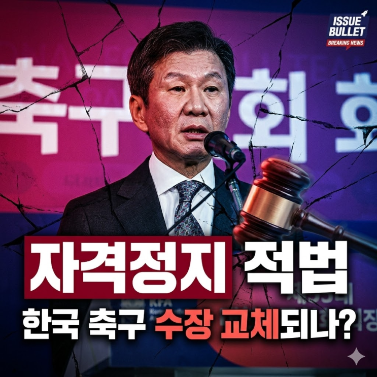  정몽규 결국 패소! 문체부 중징계 '적법' 판결 의미와 축구협회 운명 총정리