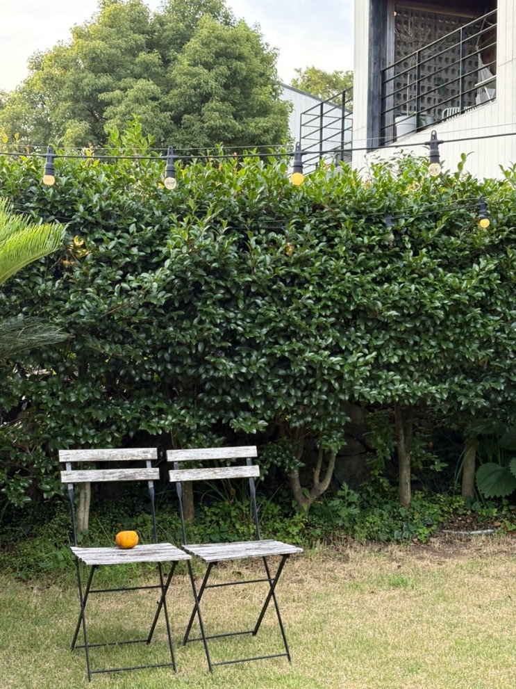  제주 서귀포 독채펜션 감성 숙소 추천 조식 13보름 내돈내산